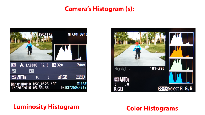 Smartglass Histogram The Ultimate Guide to Using Your Camera's Histogram Effectively