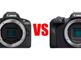 Canon EOS R50 vs EOS R100: A Detailed Comparison for Beginners and Enthusiasts