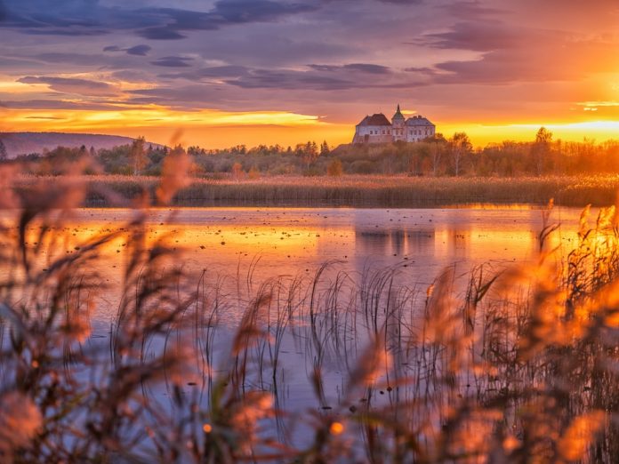 Golden Hour Photography Tips for Stunning Natural Light