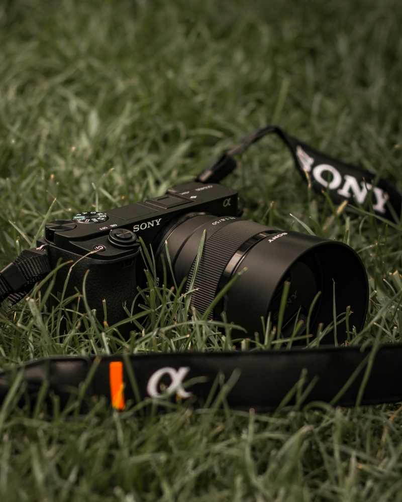 Sony A6400 the grass