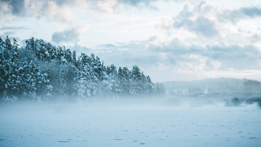Foggy winter afternoon