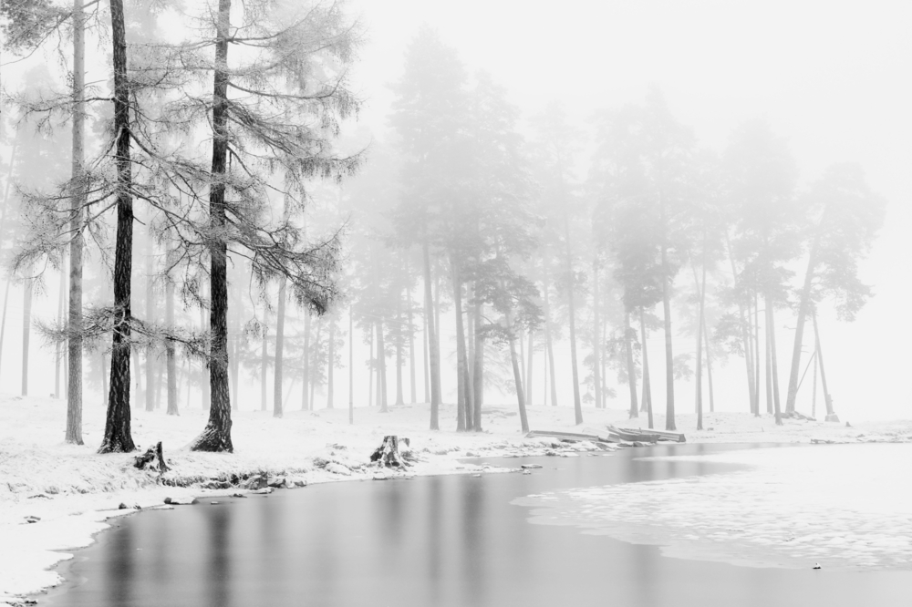 Winter scene of a lake and forest