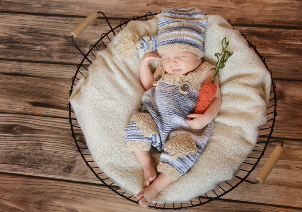 Sleeping newborn baby in basket with toy carrot