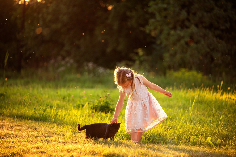 Little girl in a summer dress playing with a black kitten