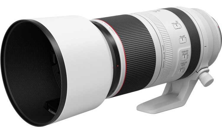 Canon RF 100–500mm f/4.5–7.1L IS USM