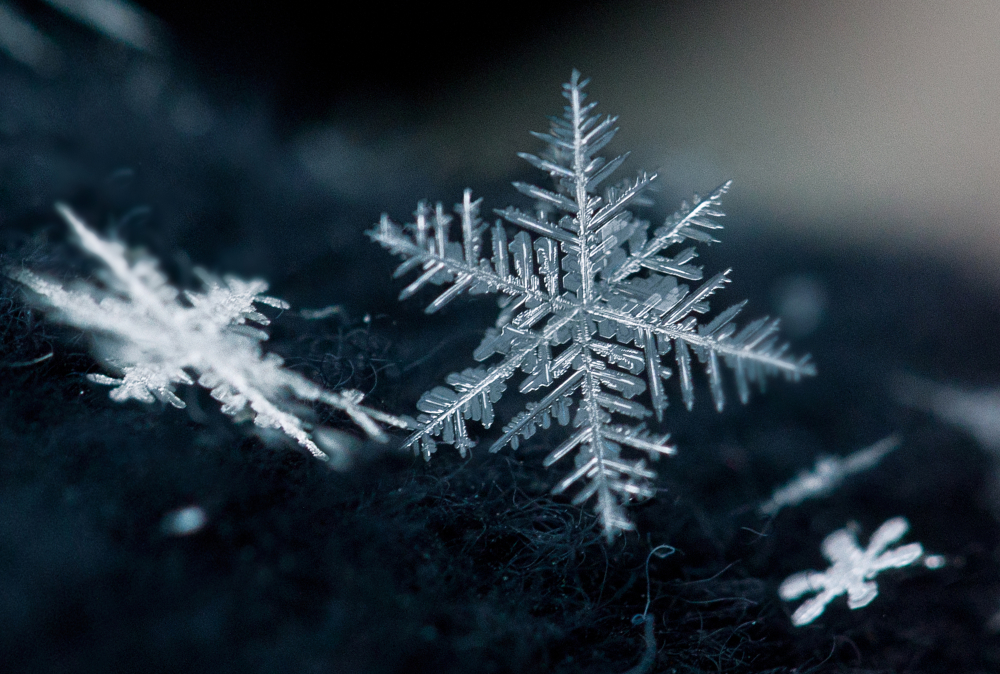Snowflakes on the black background