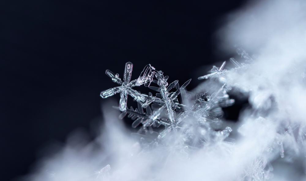 Snowflakes in the snow