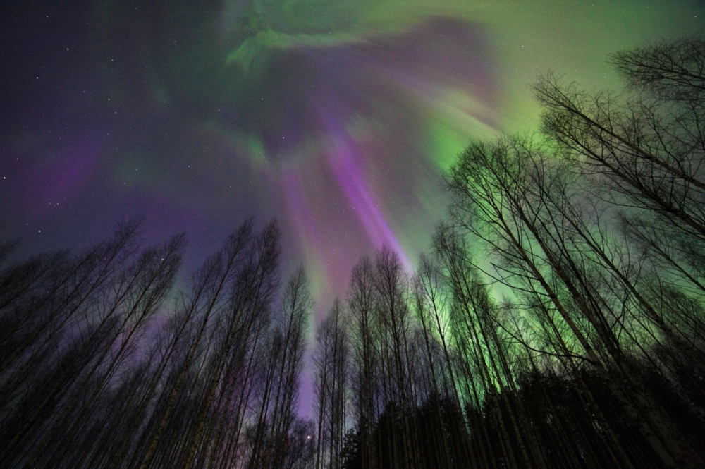 Purple and green northern lights Aurora Borealis