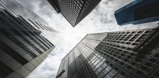 looking up through skyscrapers