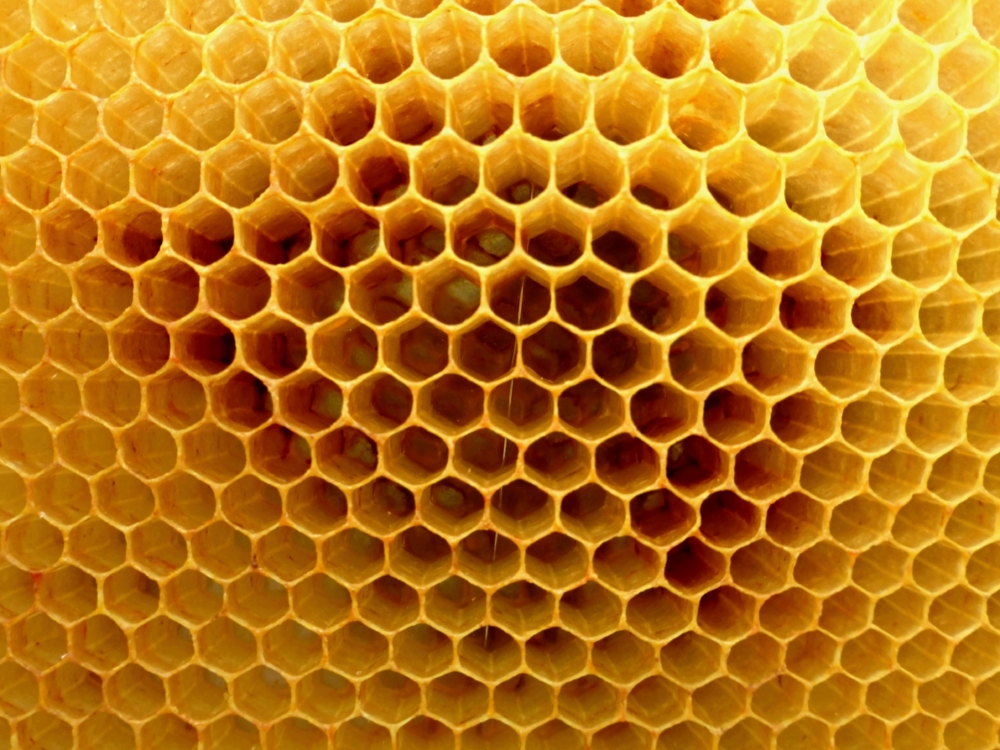 Honeycomb