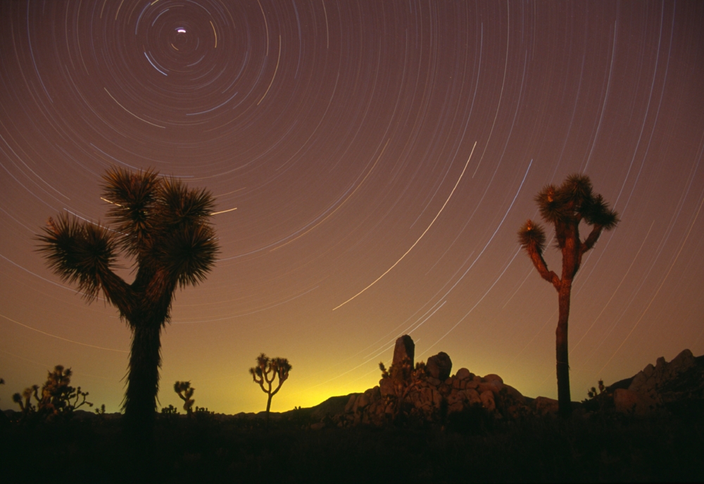 star trails over the desert
