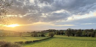 Pasture farmland at sunset
