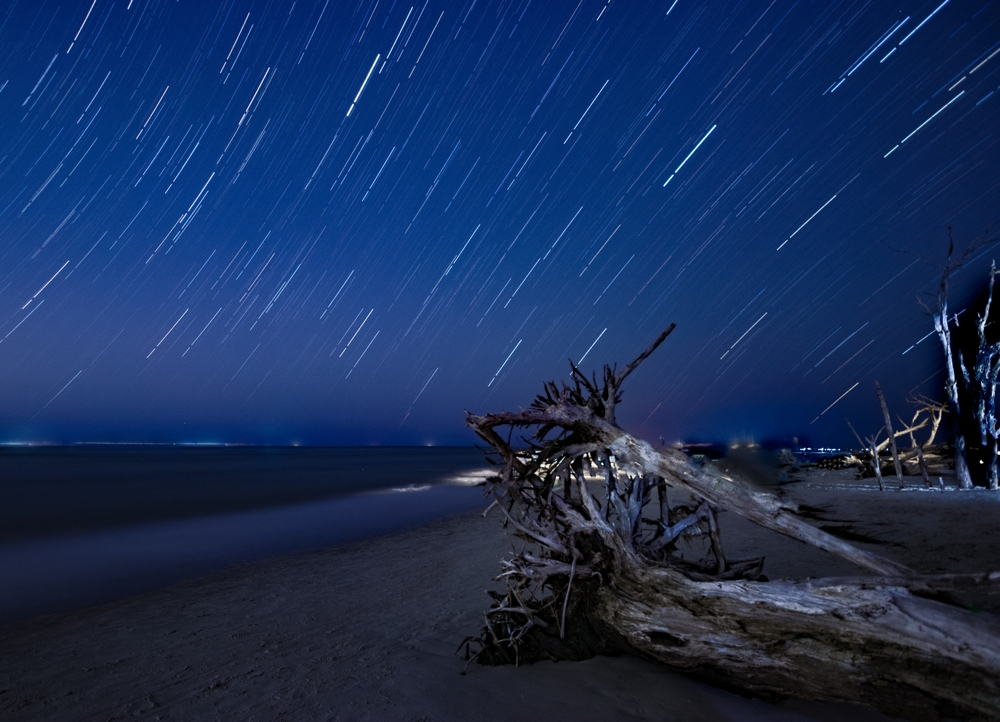  old dead tree on the beach under star trails across the sky