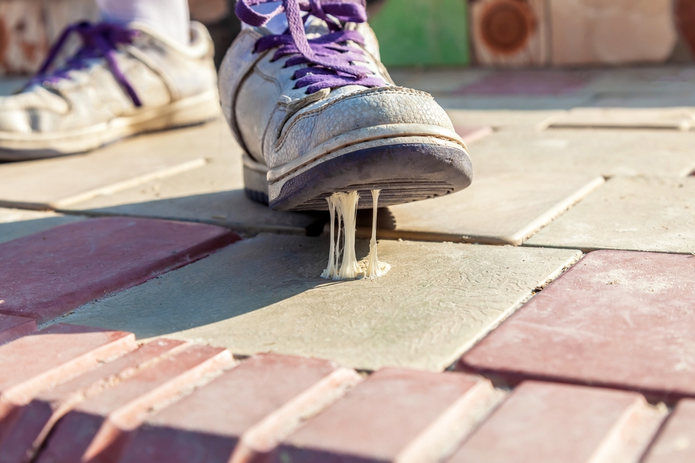 gum stuck to the bottom of a shoe with purple laces