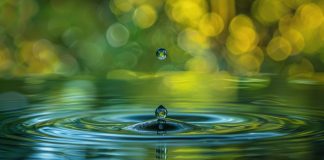 A single water drop creates ripples in still water with a blurry green background