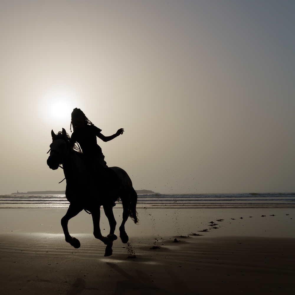 Silhouette of a horse and its rider on the beach