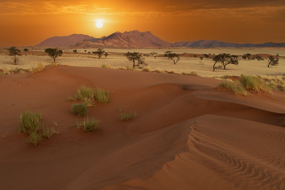 desert landscape
