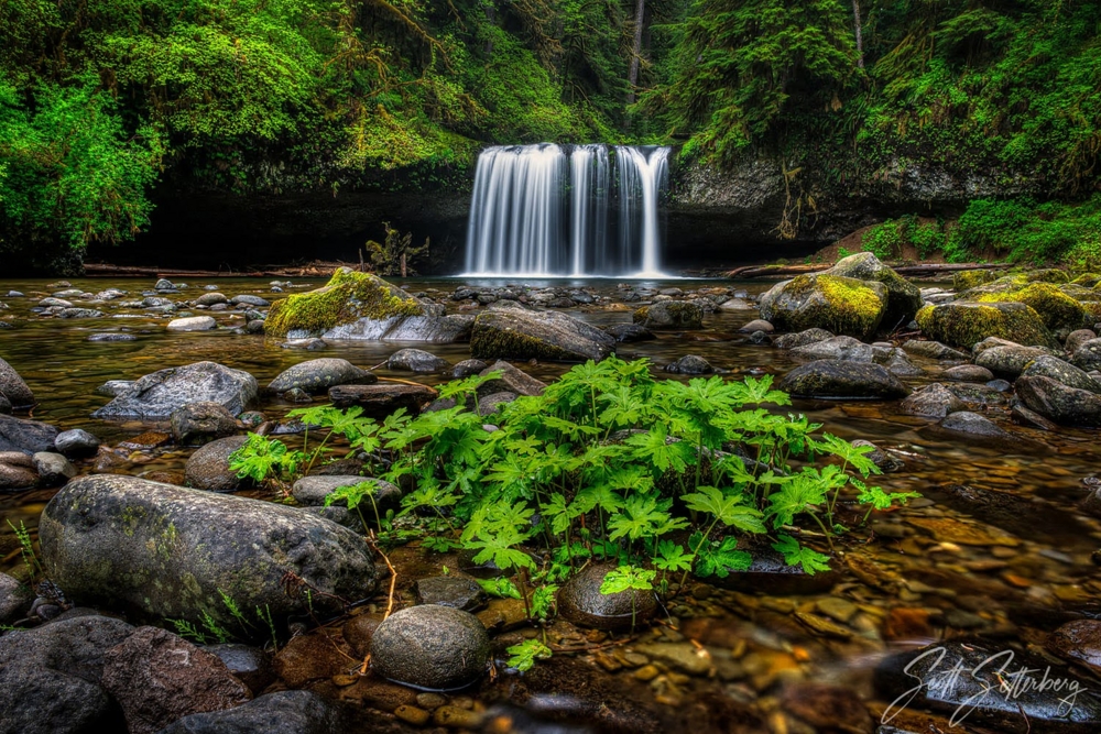 ColorTexturePhotoTours waterfall with plants
