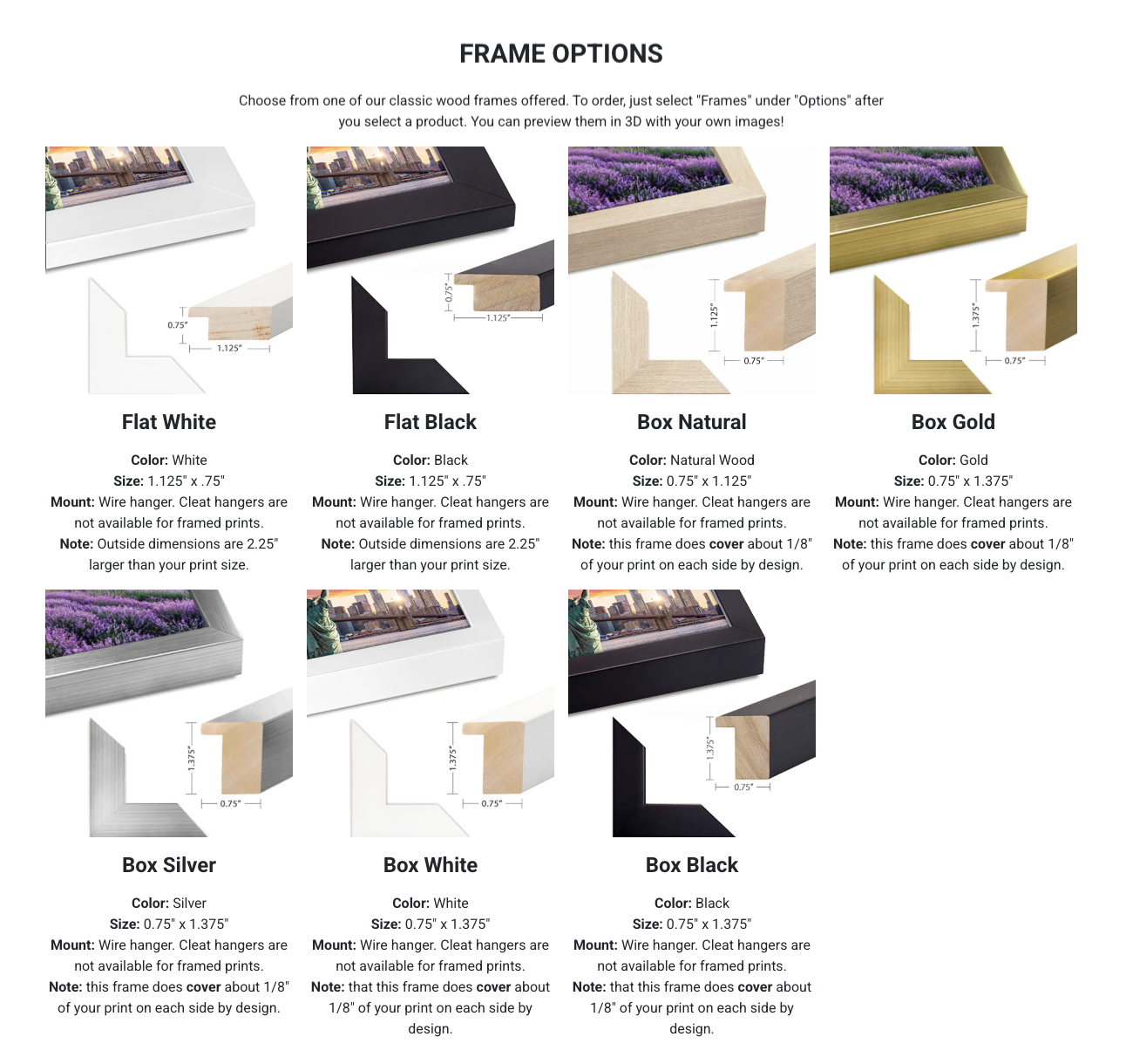 artbeat studios paper print frame options