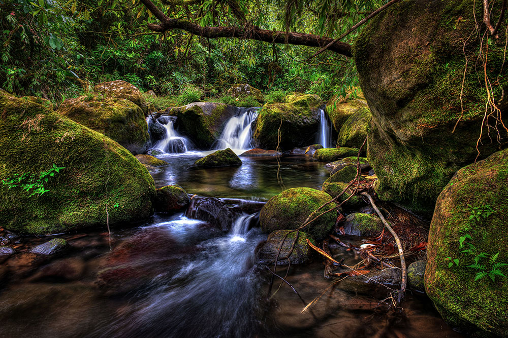 colortexturephototours bajos eden
