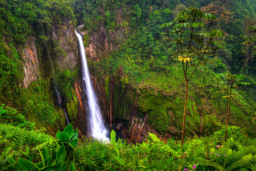 colortexturephototours BajosDelToroWaterfall