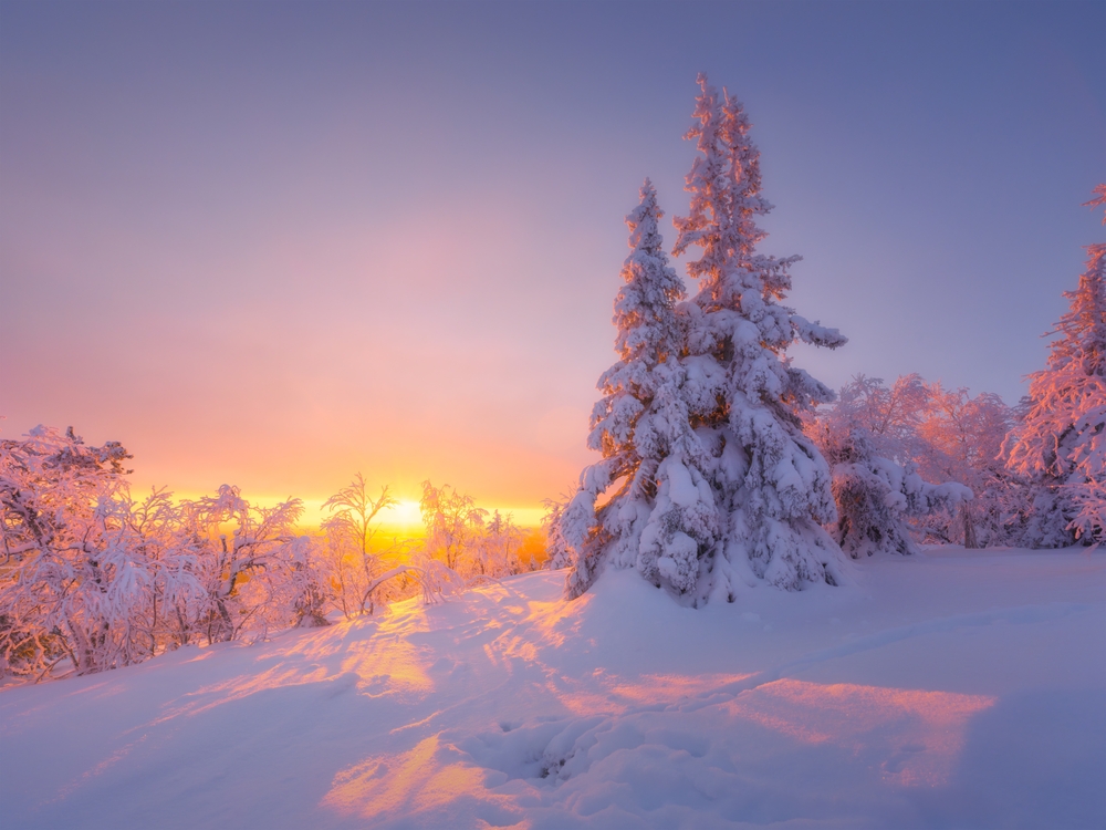 beautiful winter scene at sunrise