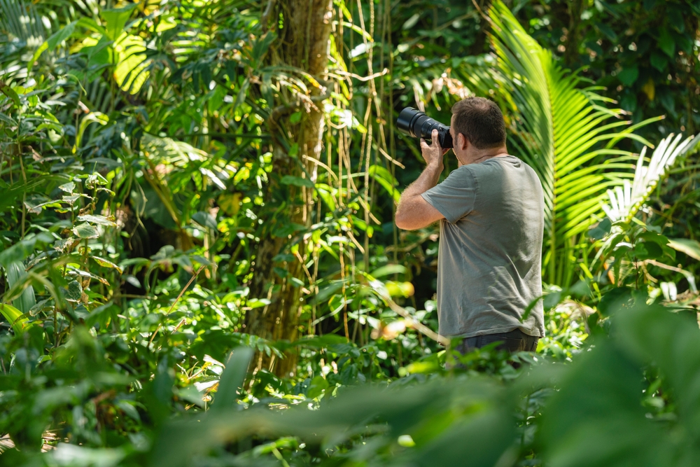 wildlife photographer in the jungle