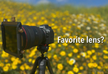 Canon RF 28-70mm f/2L USM Review: 5-Year Test