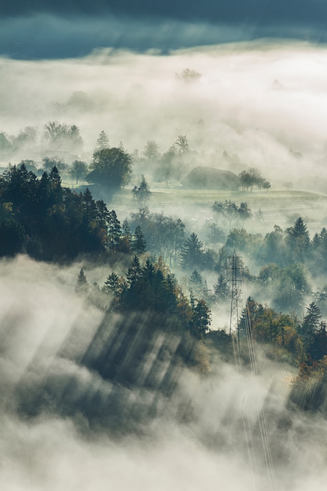 How to Photograph Fog and Mist for Moody Landscape Photos - Photography ...