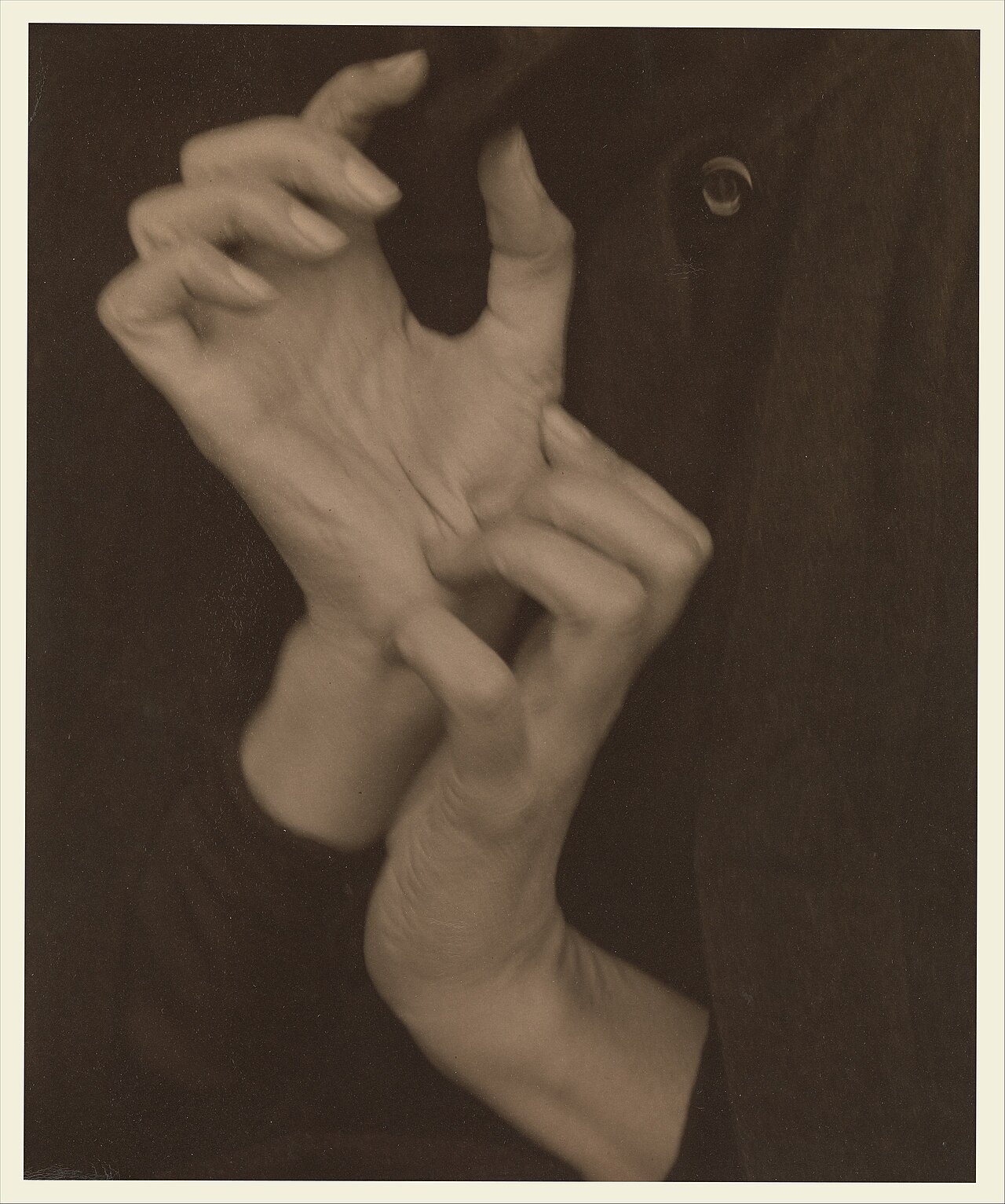 Alfred Stieglitz, Georgia O'Keeffe (Hands), 1919